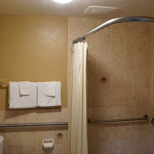 This image shows a bathroom with a toilet, two wall-hung white towels, a toilet paper holder, a shower area with a curtain, and a ceiling light.