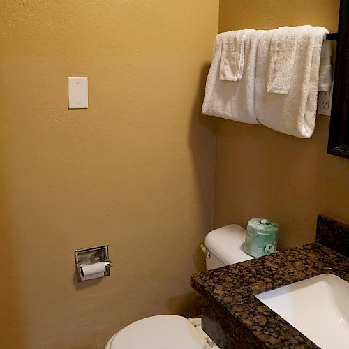 A bathroom with a white toilet, a granite countertop sink, two white towels on a rack, toilet paper mounted on the wall, and a tissue box on the counter.