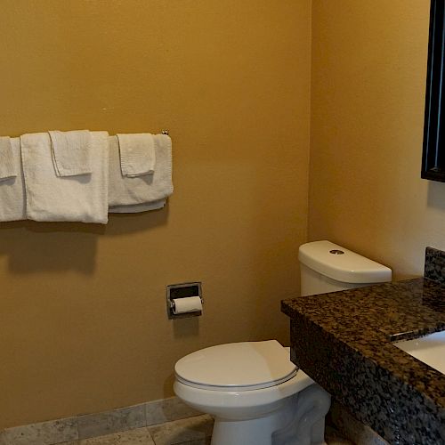 A bathroom with a toilet, a granite countertop, and a wall-mounted mirror. Three white towels hang on the wall above a toilet paper holder.