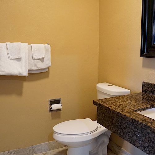 A bathroom features a toilet, a granite countertop with a sink, a large mirror, and neatly folded white towels on a rack.